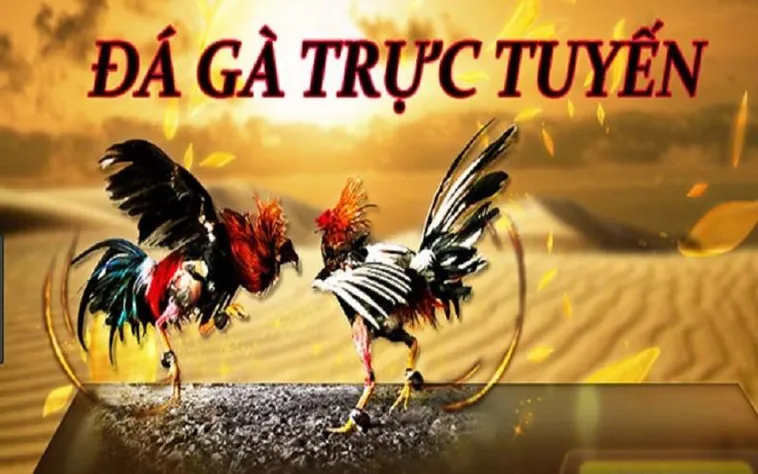 Hướng Dẫn Chơi Đá Gà WS168 Tại 88GO: Thông Tin Chi Tiết Nhất