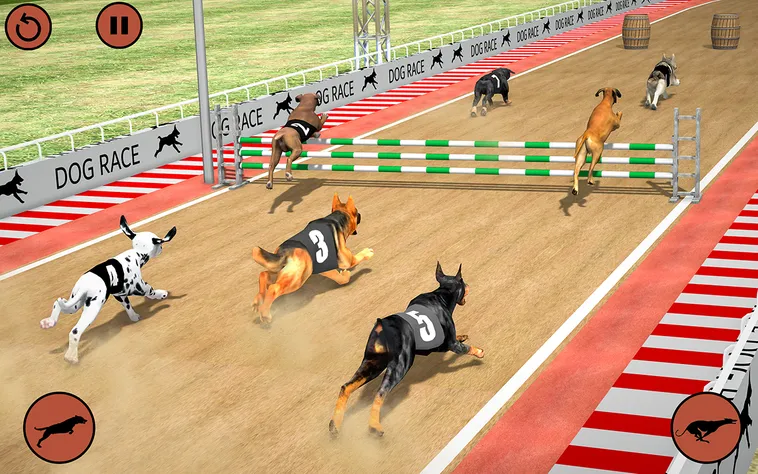 Hướng Dẫn Chơi Game Nhanh Đua Chó Tại 88GO Một Cách Hiệu Quả 2 Hướng Dẫn Chơi Game Nhanh Đua Chó Tại 88GO Một Cách Hiệu Quả