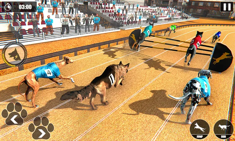 Hướng Dẫn Chơi Game Nhanh Đua Chó Tại 88GO Một Cách Hiệu Quả